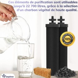 Filtre Charbon actif / Filtre réduction arsenic-fluoride - Weeplow®